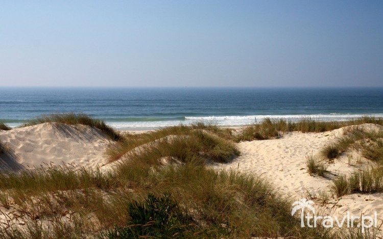A view of the ocean from the Sao Jacinto Dunes Natural Reserve near Aveiro