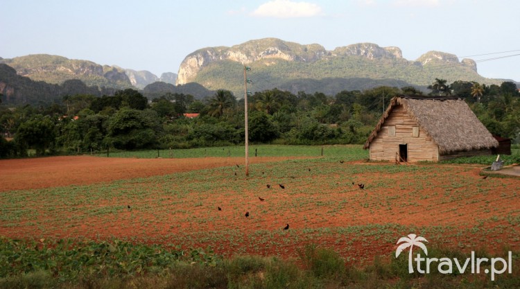 Gospodarstwo w Vinales