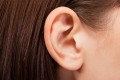 Ludzkie ucho