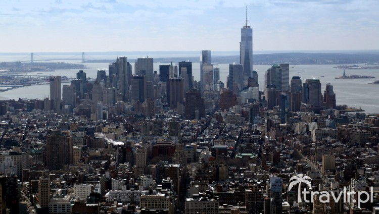 Panorama dolnego Manhattanu z Empire State Building
