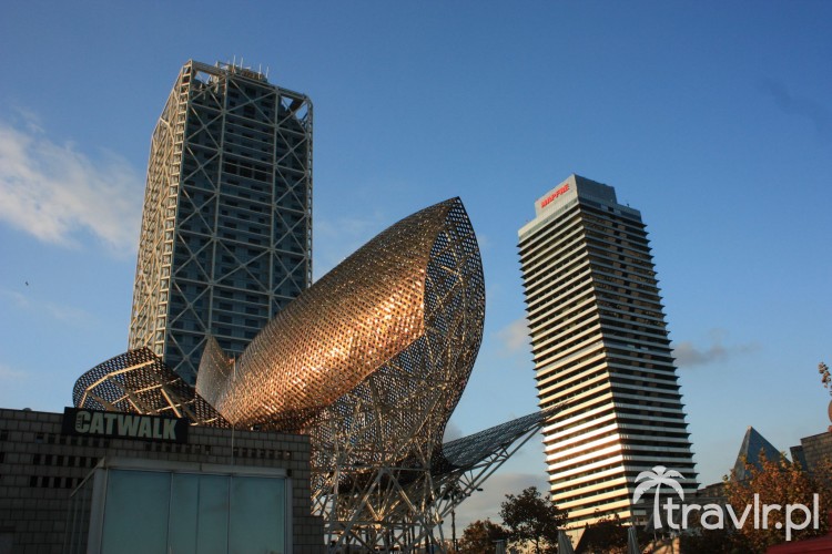 Rzeźba Franka Gehry'ego - Peix d'Or, Barcelona