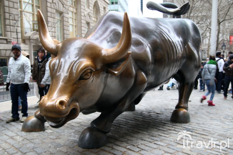 Szarżujący Byk z Wall street